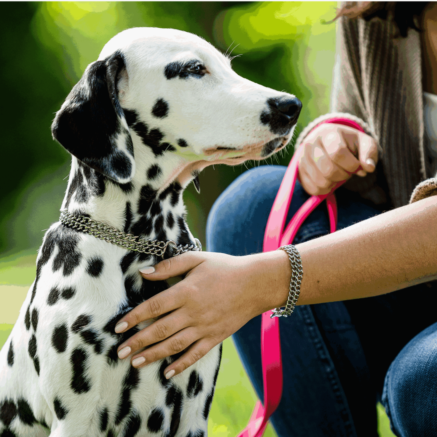 Womens Twin Row Chain Bracelet