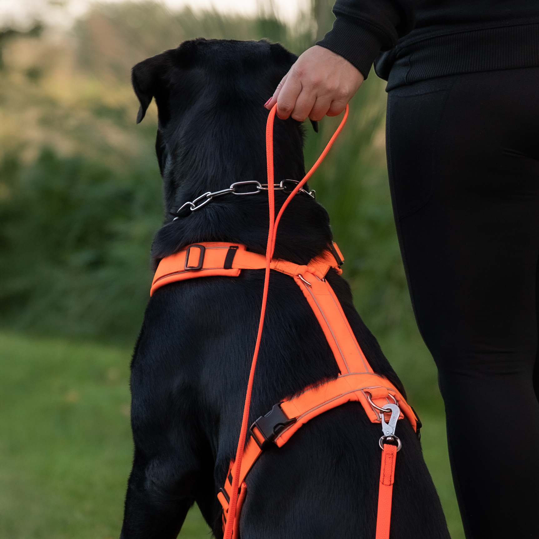 BioThane® Footballgrip Tracking Leash with Handstrap