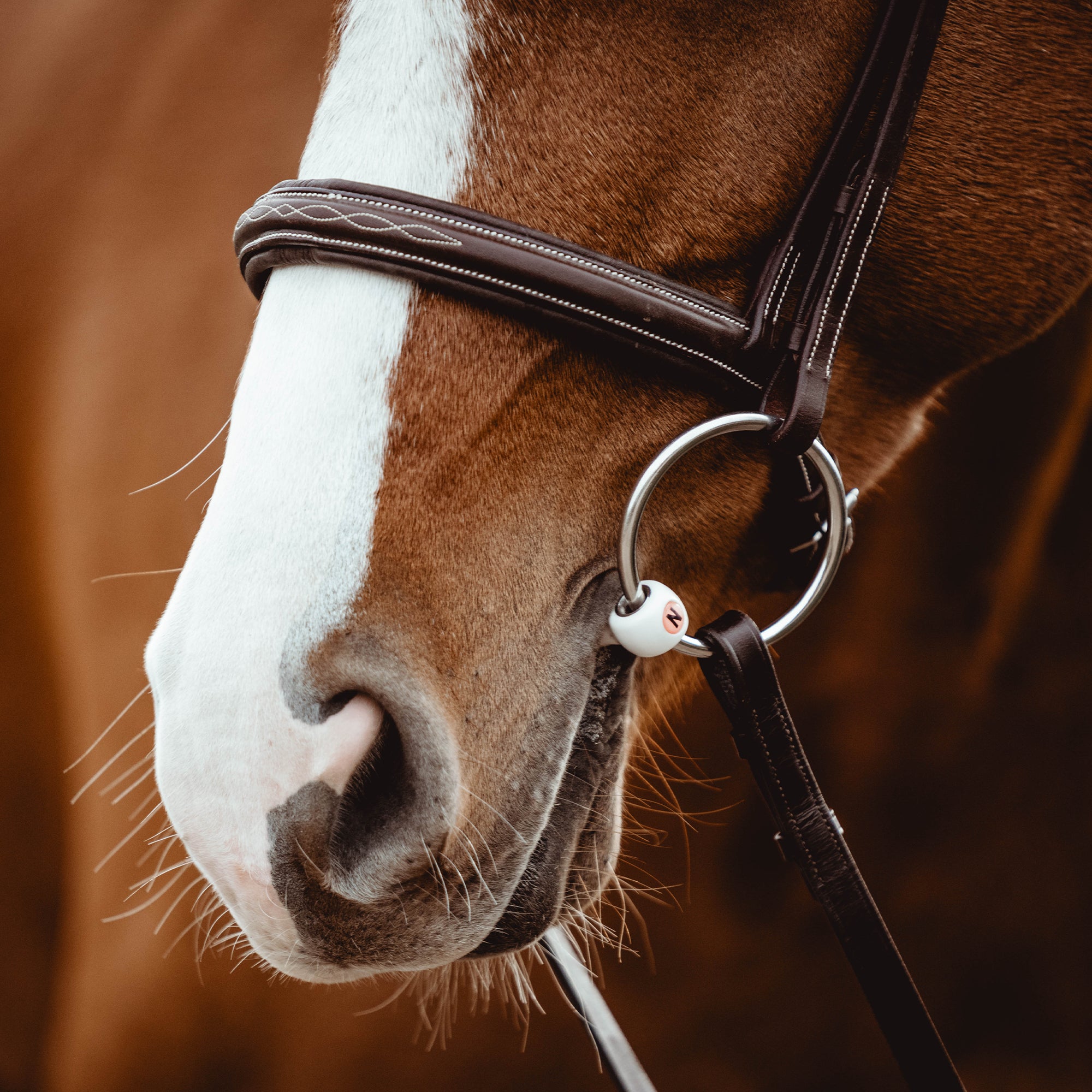 NATHE CM Loose Ring Mullen Mouth Bit