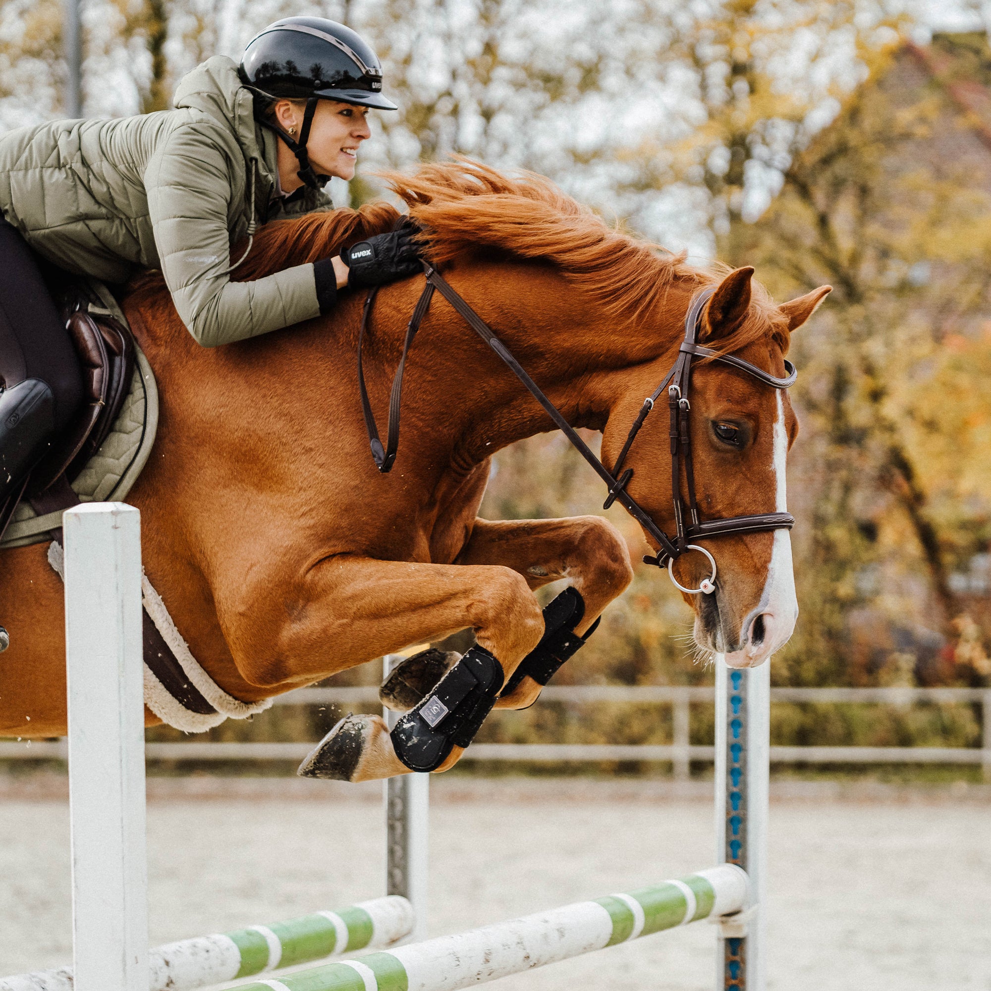 NATHE CM Loose Ring Mullen Mouth Bit