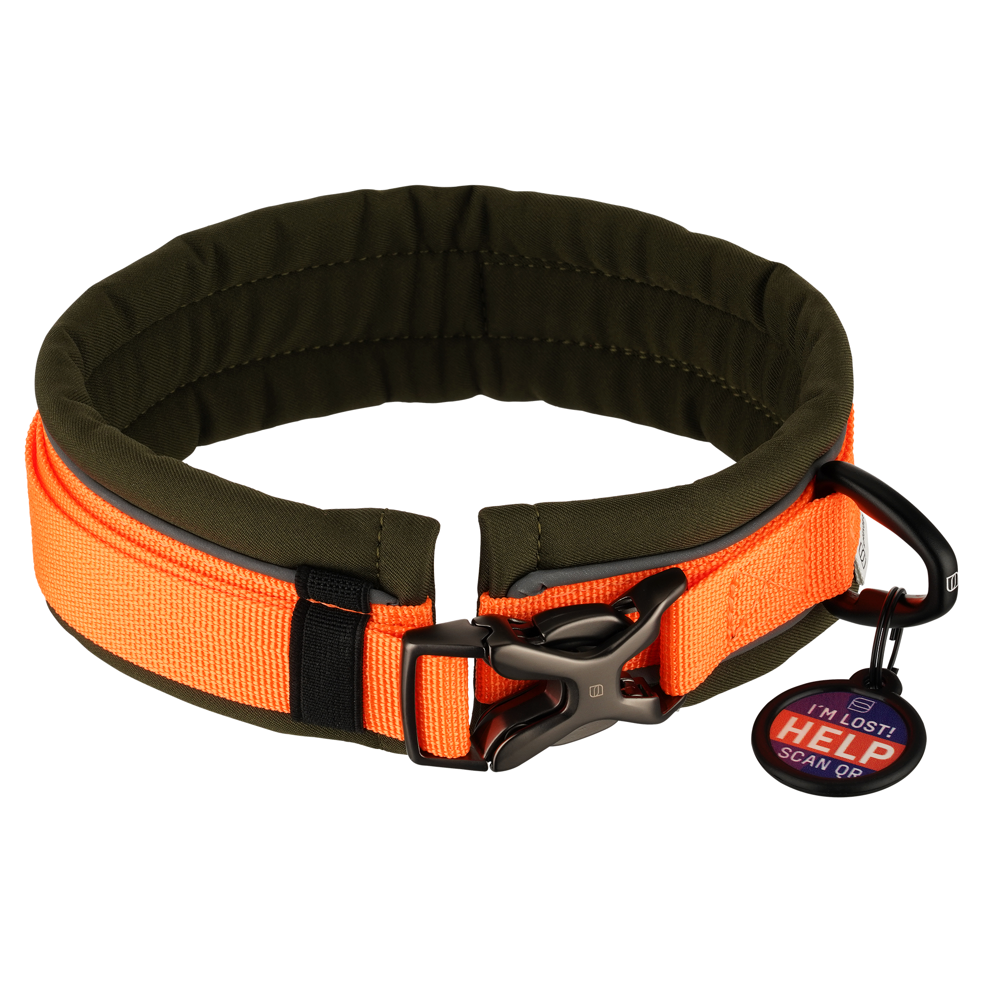 Padded Dog Collar