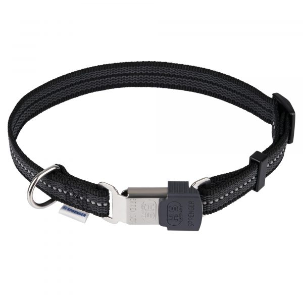 black adjustable dog collar