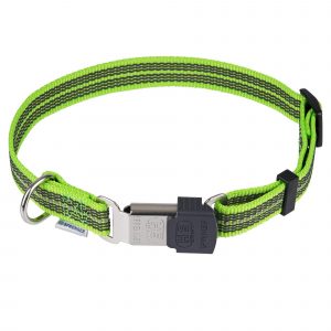 green adjustable dog collar
