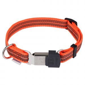 neon orange adjustable dog collar