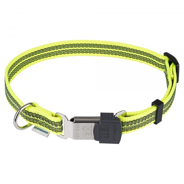 neon yellow adjustable dog collar