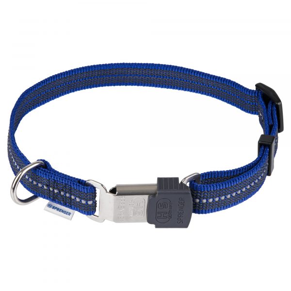 blue adjustable dog collar